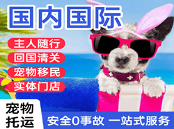 南通兴东机场快运国际宠物托运 【国